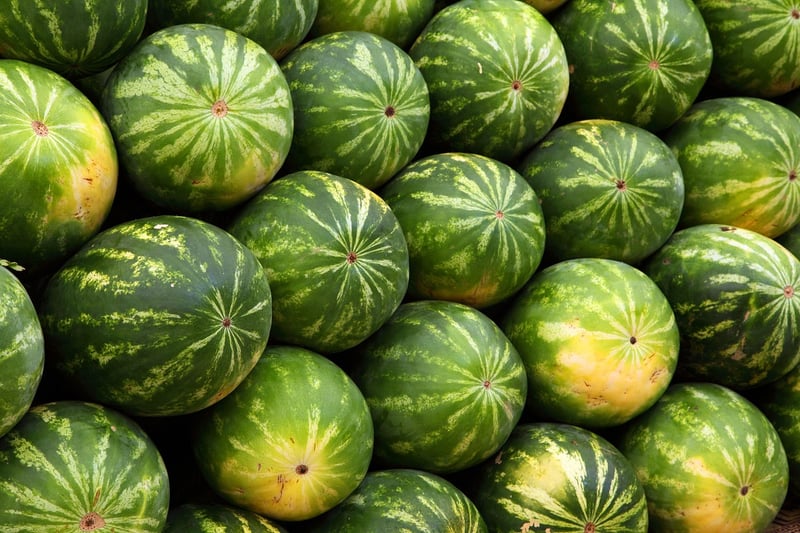 Variety of Nutrient-Dense Foods